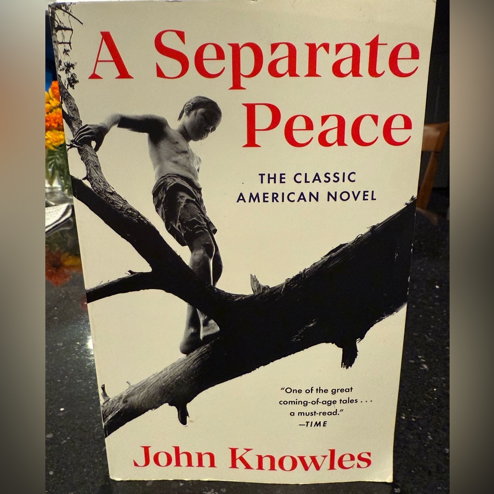 3/$15 Book Bundle - A Separate Peace by John Knowles - Classic Novel